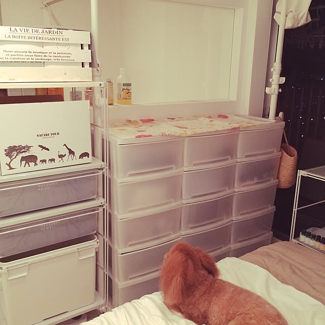 shirokumaさんの実例写真