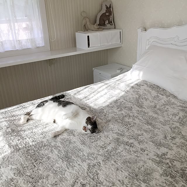 yuchiさんの実例写真