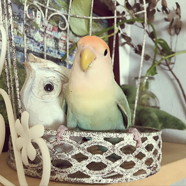 hogeさんの実例写真