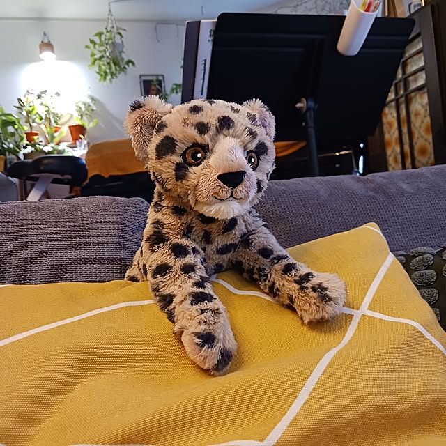 funnyfaceさんの部屋