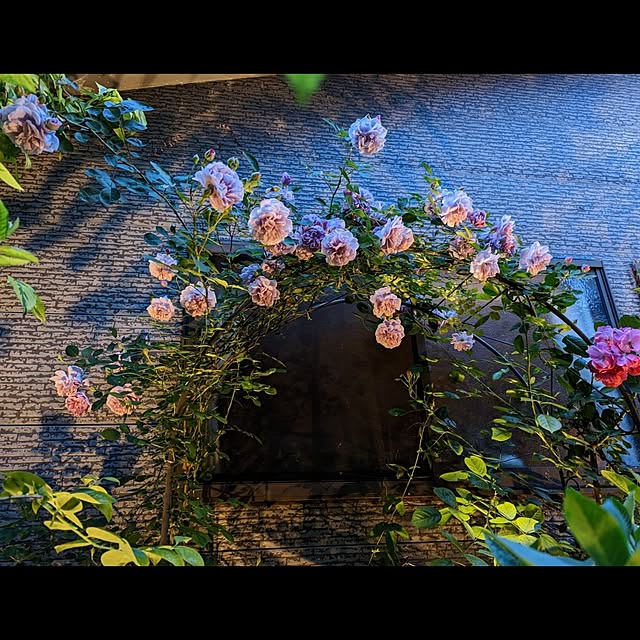 aromameさんの部屋
