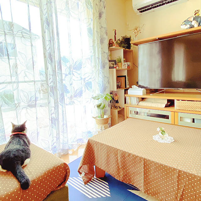 moolさんの実例写真