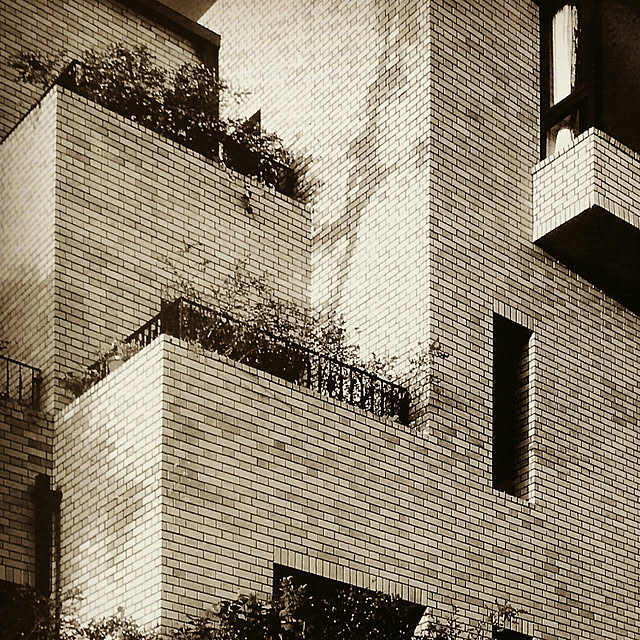 shige0922さんの実例写真