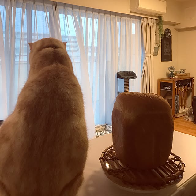 hiyupan88さんの実例写真