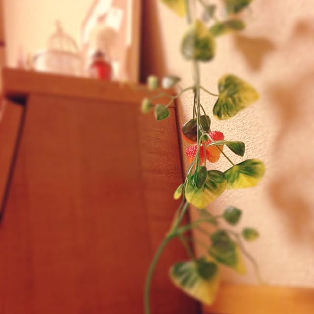 moepurinさんの実例写真