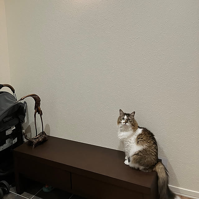 mihoさんの部屋