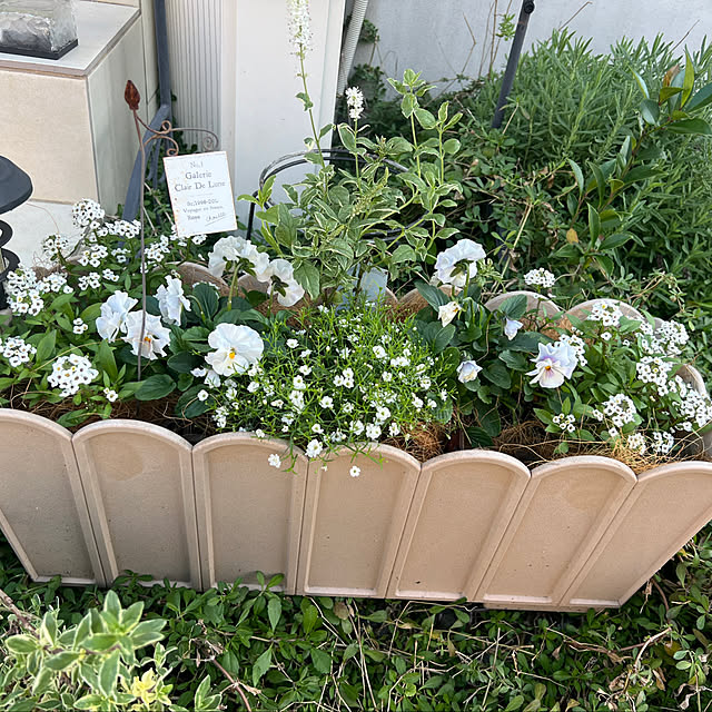 hi_riiさんの実例写真