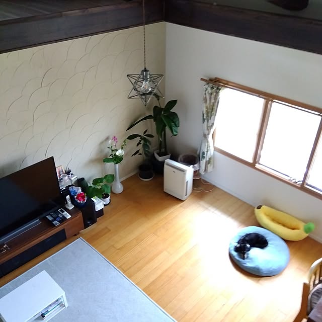 coco1204さんの部屋