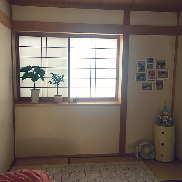 haritakaさんの実例写真
