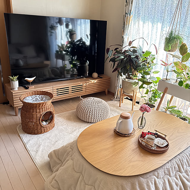 chinaさんの部屋