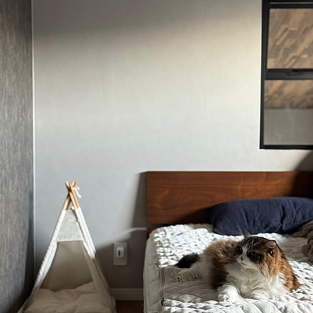 sakiさんの実例写真