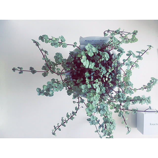 omochi__さんの実例写真