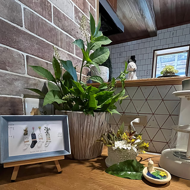 cotaさんの部屋