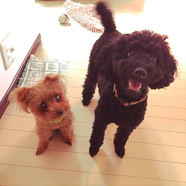 bkさんの実例写真