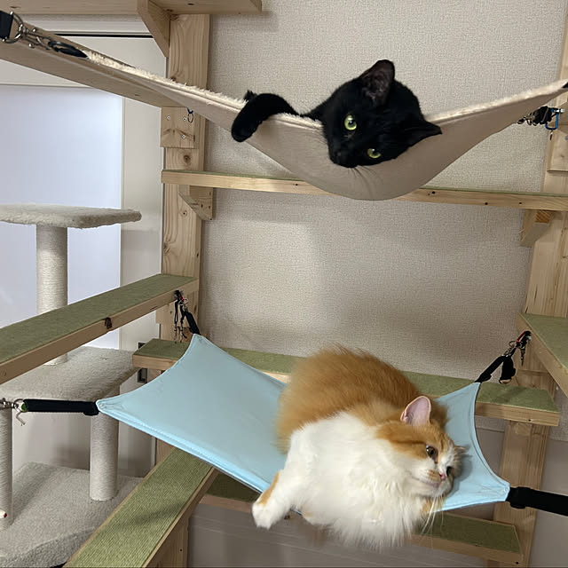 junさんの部屋