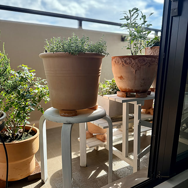 yasuyo66さんの実例写真