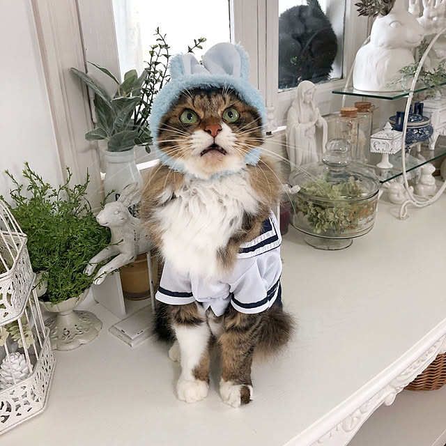 yuchiさんの実例写真