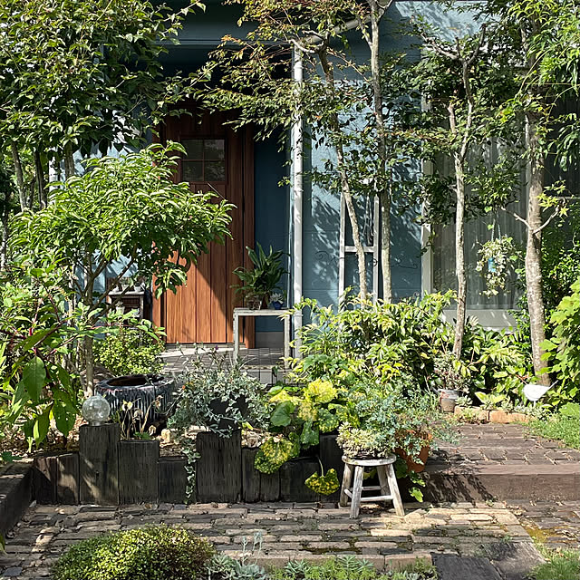 nobikoさんの部屋