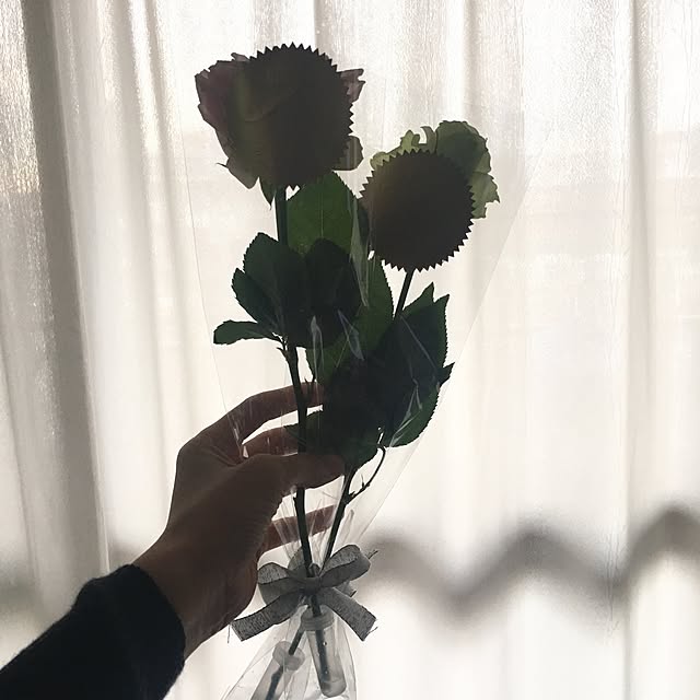 997__さんの実例写真