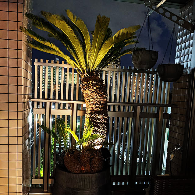 Piyoさんの実例写真