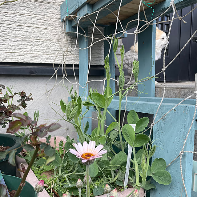 natsumiさんの部屋