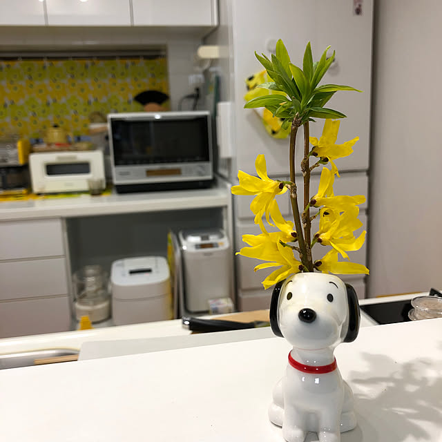 Kさんの実例写真