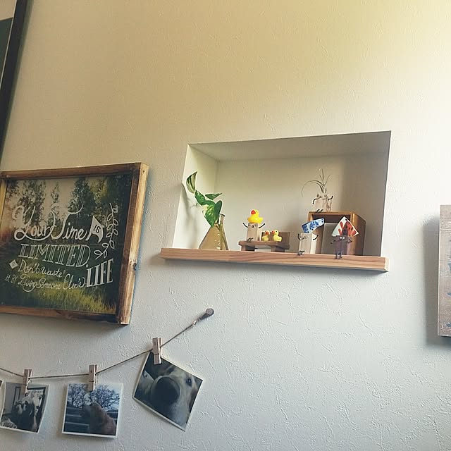Hiromiさんの実例写真