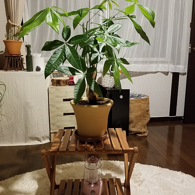 midoriさんの実例写真