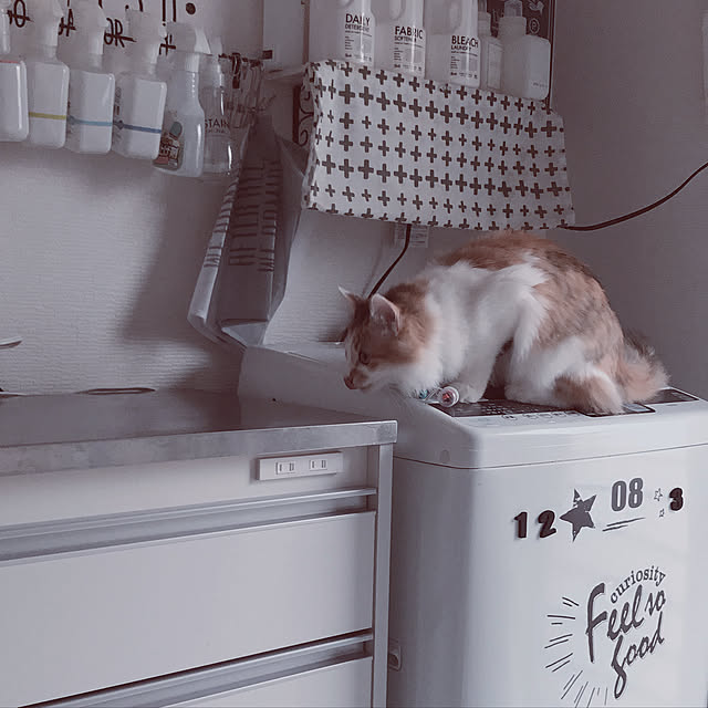 mya___kさんの実例写真