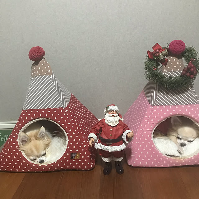 ワンコもいるクリスマス/暮らしの一コマ/ペットとの暮らし/わんこと暮らす/いぬと暮らす...などのインテリア実例 - 2019-12-25 23:11:21