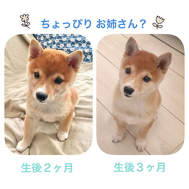suzyさんの実例写真