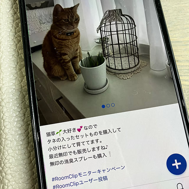 m623さんの部屋