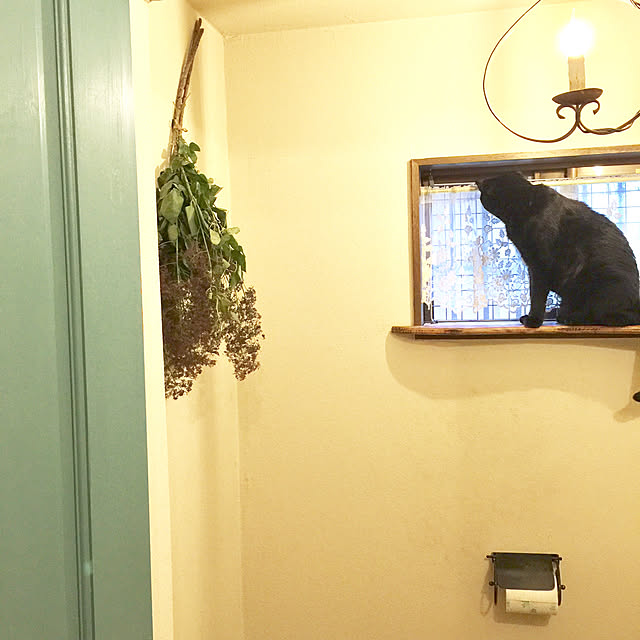 ねこ/くろねこ/ねこのいる日常/猫のいる風景/黒猫...などのインテリア実例 - 2021-06-16 21:59:07