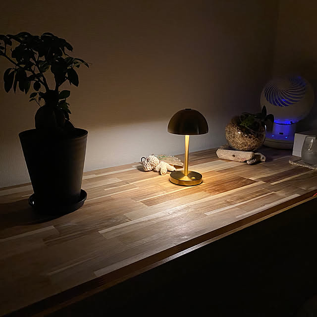 dikgn0さんの部屋
