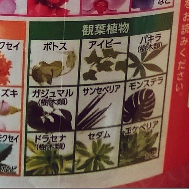 yukarin-gardenさんの部屋