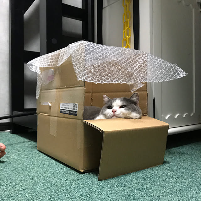 noikoさんの実例写真