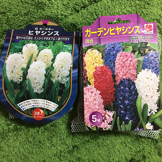 chobihigeさんの実例写真