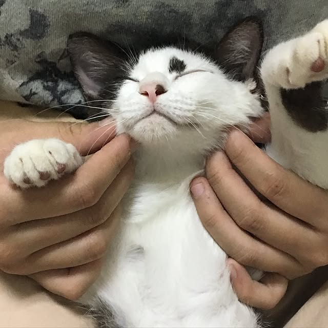 mahi1101さんの実例写真