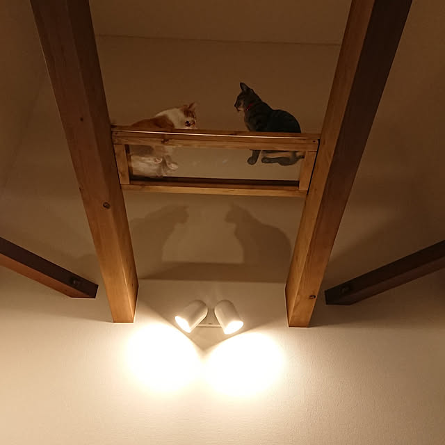 taka-kiさんの実例写真