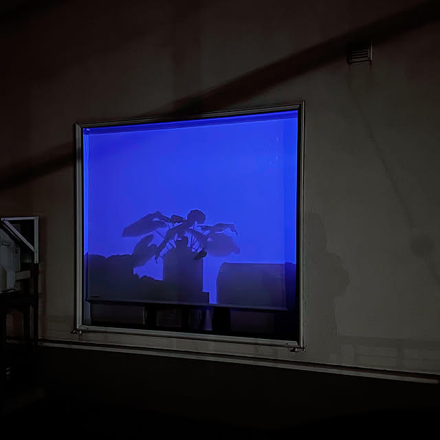 hanahana1444さんの実例写真