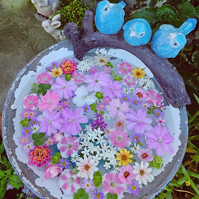 mocomocoさんの実例写真