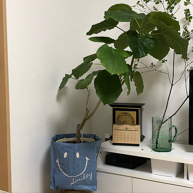 loliontoaliceveさんの実例写真