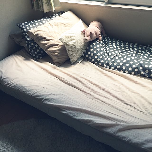 momoさんの実例写真