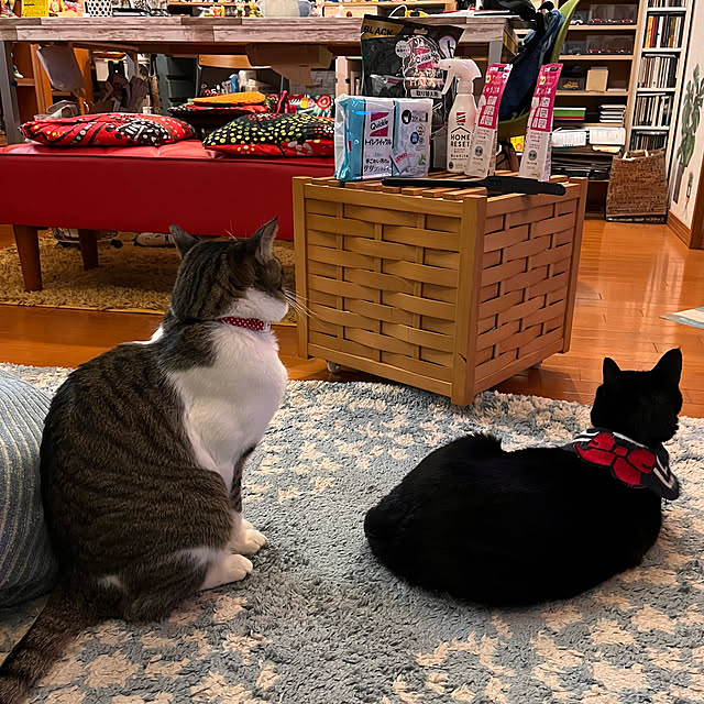 jijiさんの実例写真
