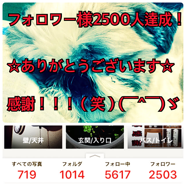 lenkaさんの実例写真