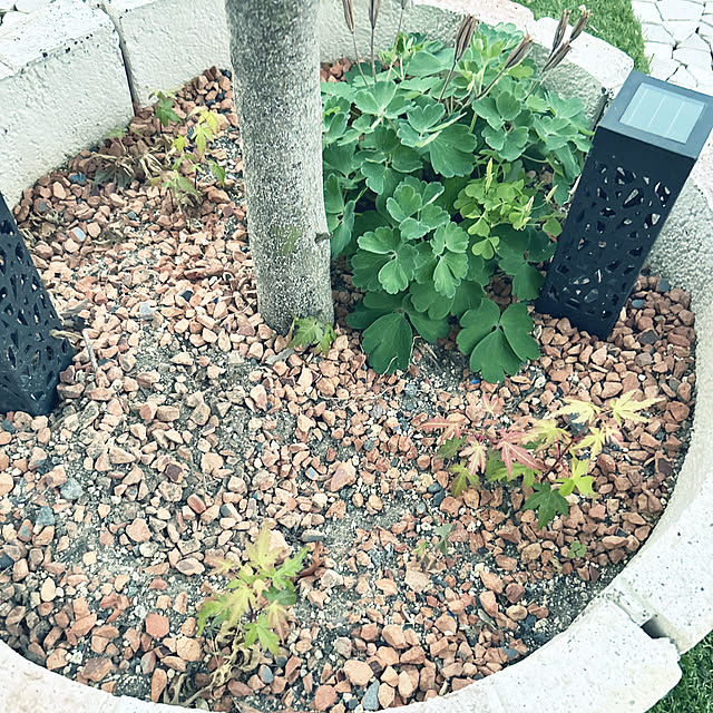 yunyumさんの部屋