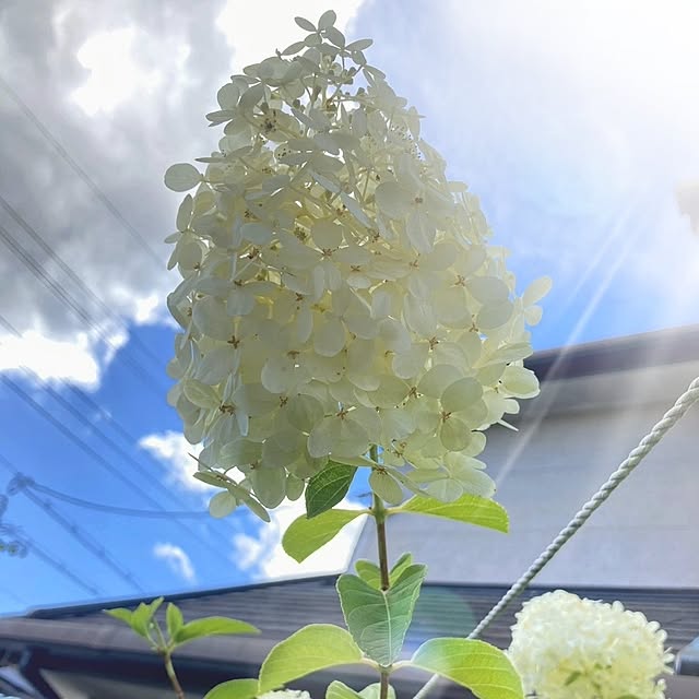min_nimさんの実例写真