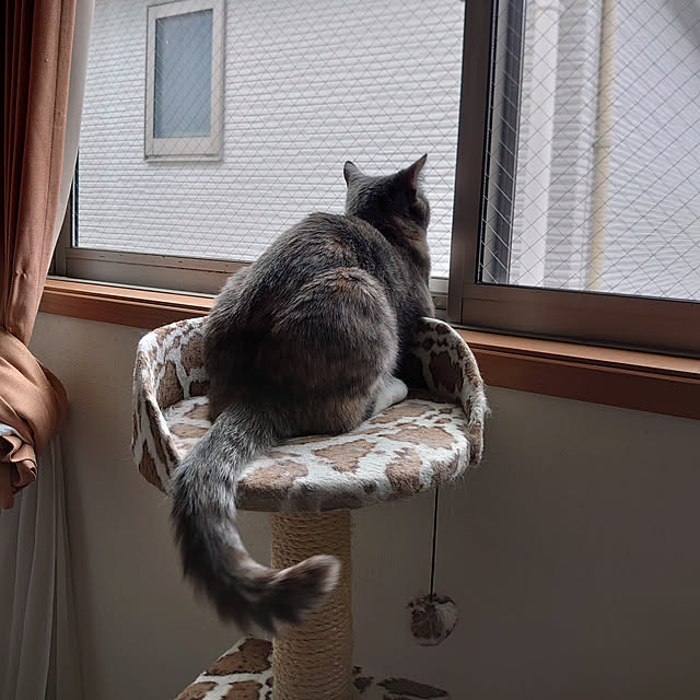 shinobuさんの実例写真