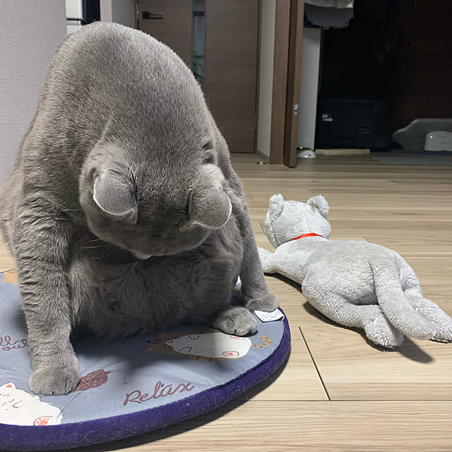 sayuuuさんの実例写真