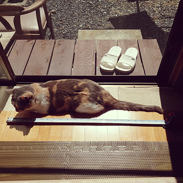fukuさんの実例写真